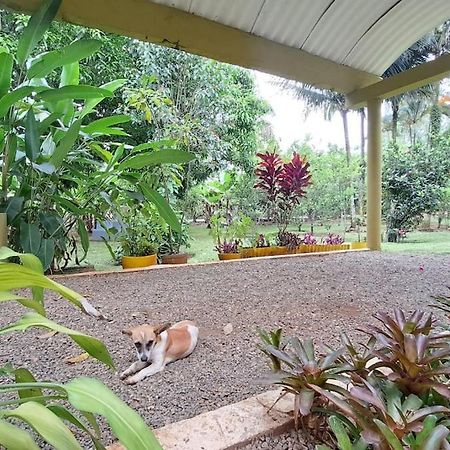 Villa Anacahuita, Limonal 哈拉瓦科阿 外观 照片