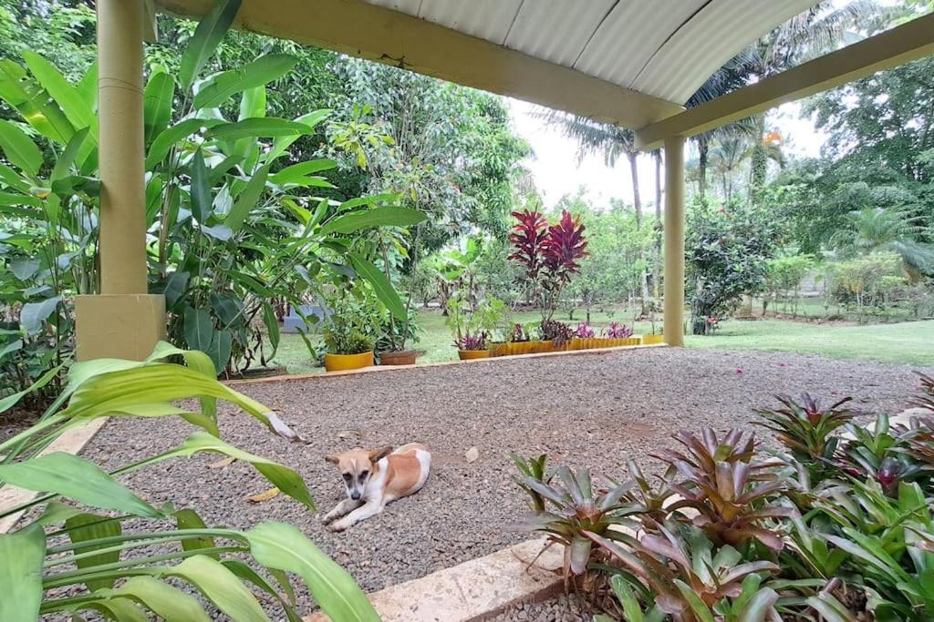 Villa Anacahuita, Limonal 哈拉瓦科阿 外观 照片