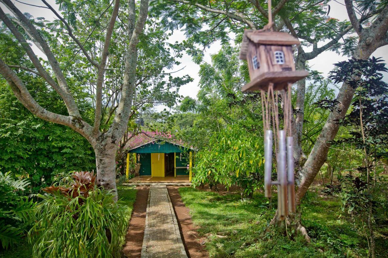 Villa Anacahuita, Limonal 哈拉瓦科阿 外观 照片