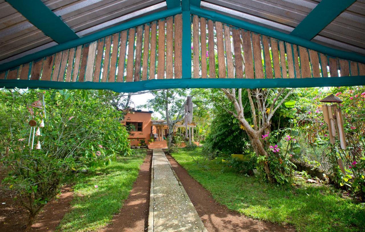 Villa Anacahuita, Limonal 哈拉瓦科阿 外观 照片
